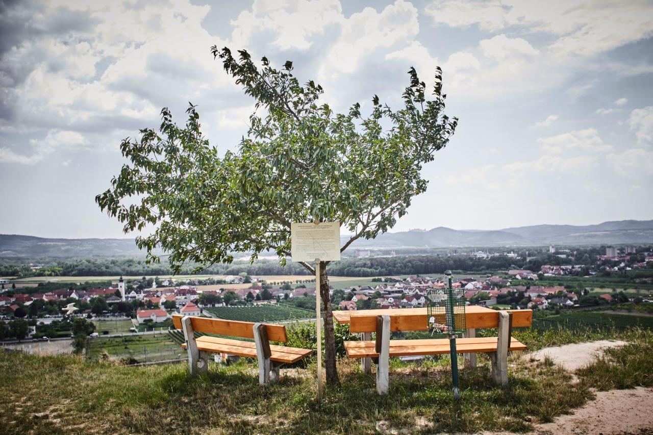 Schmankerl Und Gast Bed and Breakfast Rohrendorf bei Krems Εξωτερικό φωτογραφία