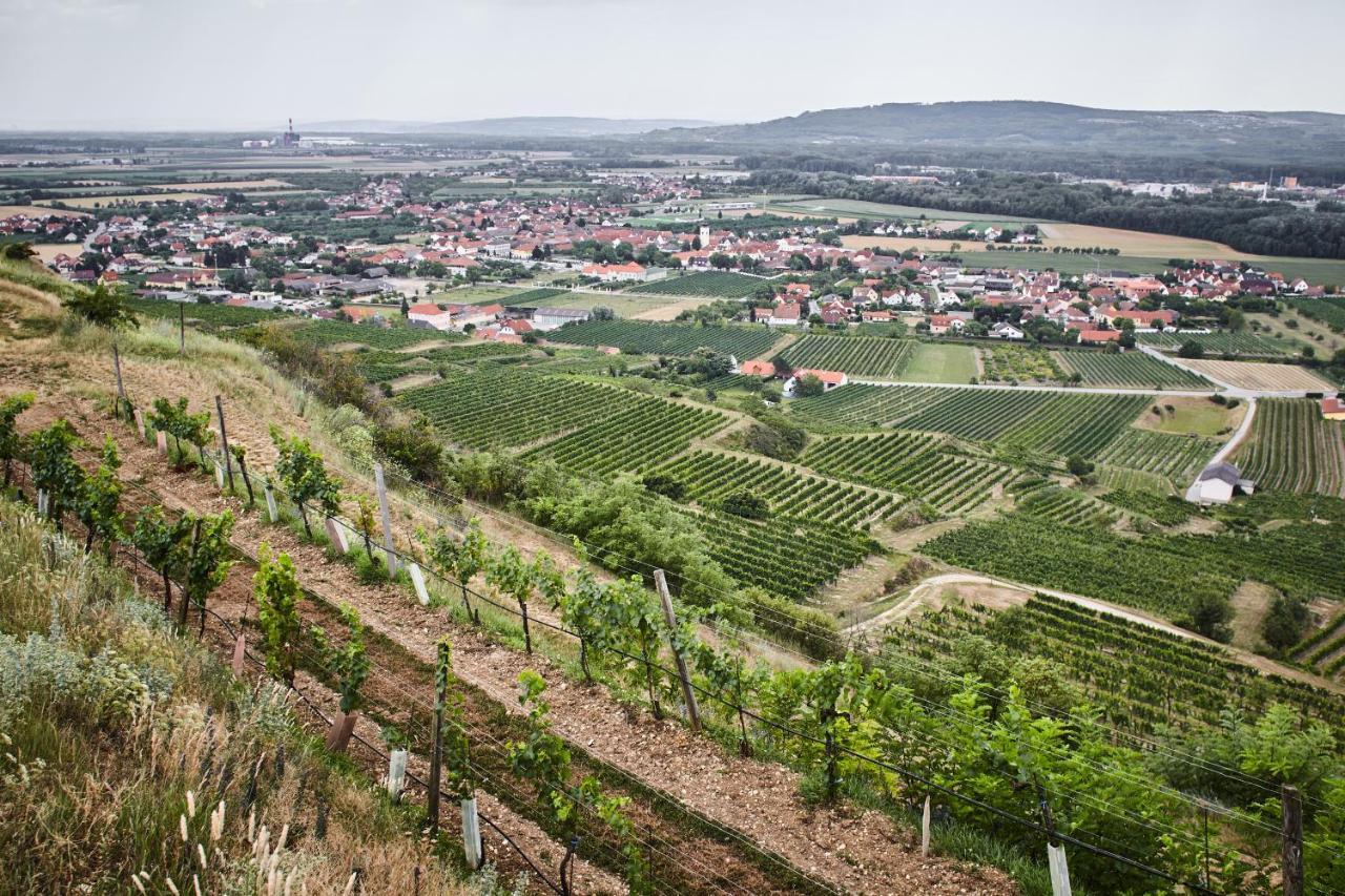 Schmankerl Und Gast Bed and Breakfast Rohrendorf bei Krems Εξωτερικό φωτογραφία